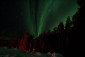 01_marthasphoto