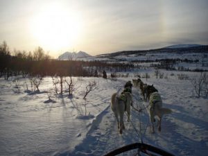 06_day-7-Tromso-052-622x548 (1)
