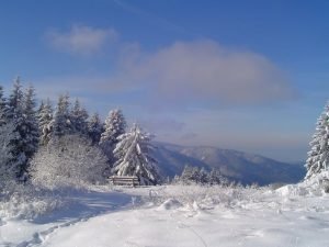 Black-Forest-Fairy-Tales-(4)