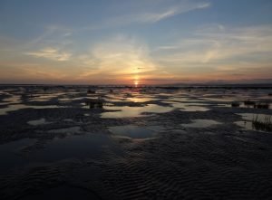 DSC01628_2