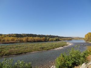 DSC01917