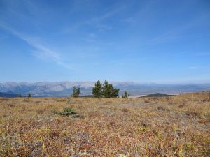 DSC01967_B
