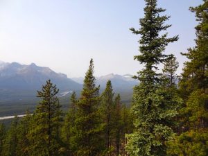 DSC02137_B