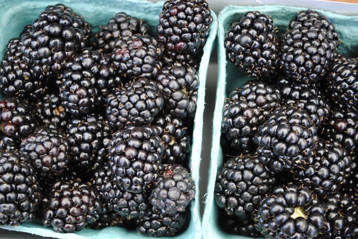 A California Farmers' Market Summer Berry Tart A California Farmers' Market Summer Berry Tart