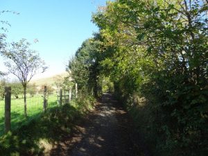 Dufton_Pike_310