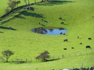 Dufton_Pike_361