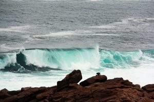 IMG_3929_Wave002 copy