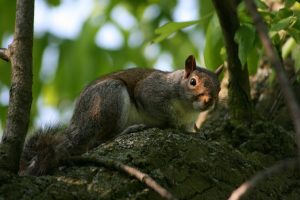 IMG_5210 IMG_5210