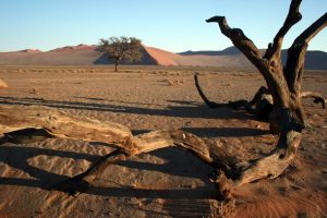 Namibia_06