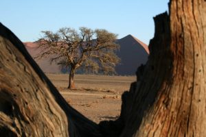 Namibia_07