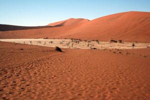Namibia_08