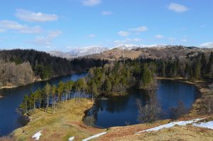 Tarn_Haws_0203 Tarn_Haws_0203