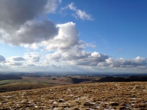 coquet_3200