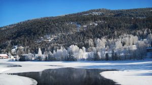 landscape