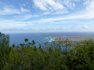 maui-6-137