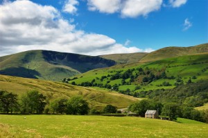pasture_01 pasture_01