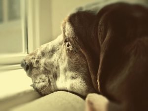 photo24
