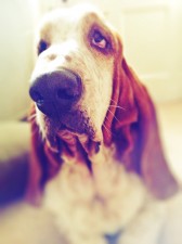photo25