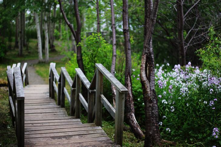 pathway on the exploits river at sanger park