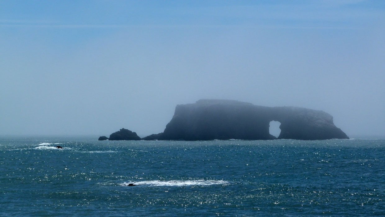 1.-Eerie-scene-at-Goat-Rock-Beach