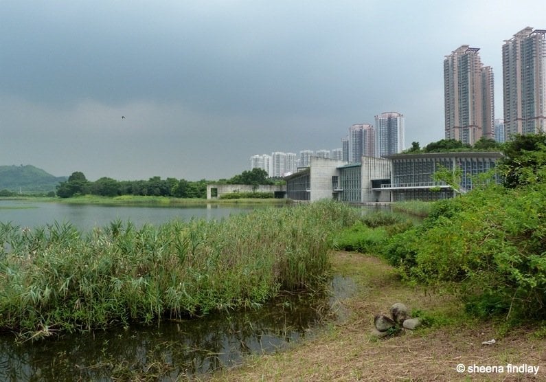 The Wetland Park, Hong Kong 