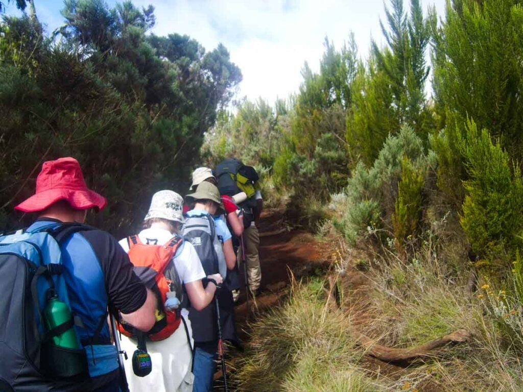 hiking the kilimanjaro trail