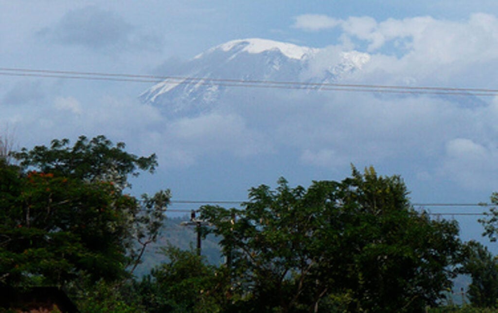 kilimanjaro in the distance