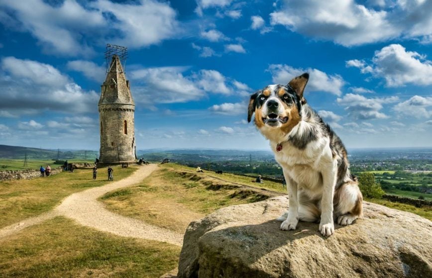 Hartshead Pike – The Edge of the Pennines