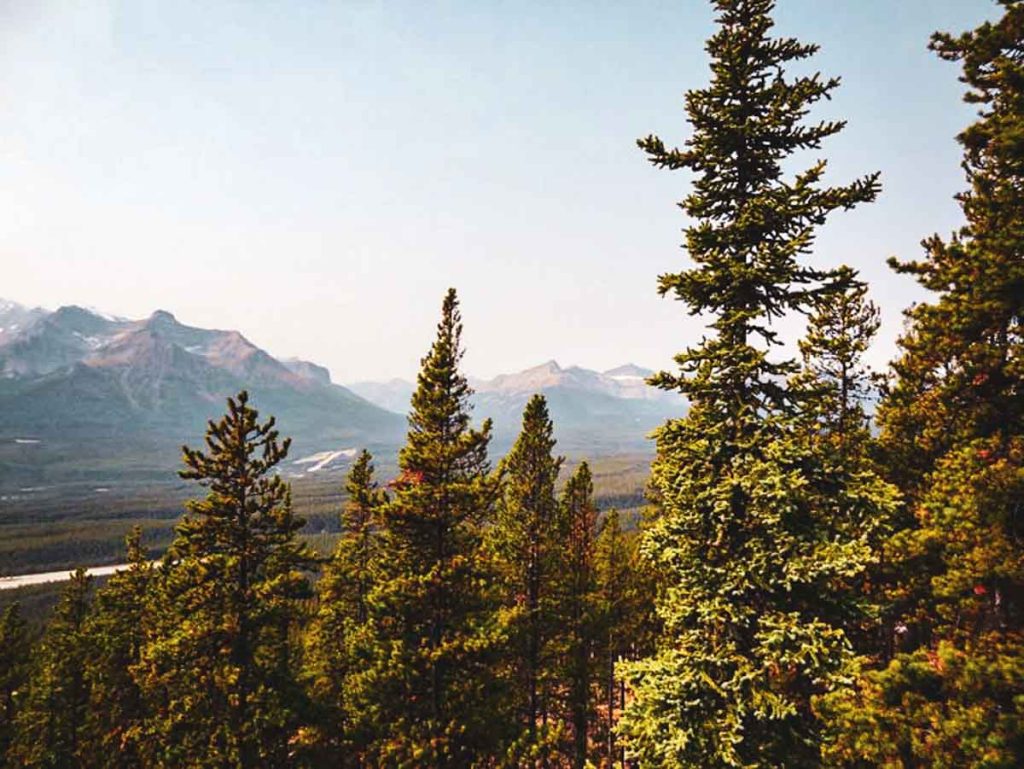 banff mountains and trees