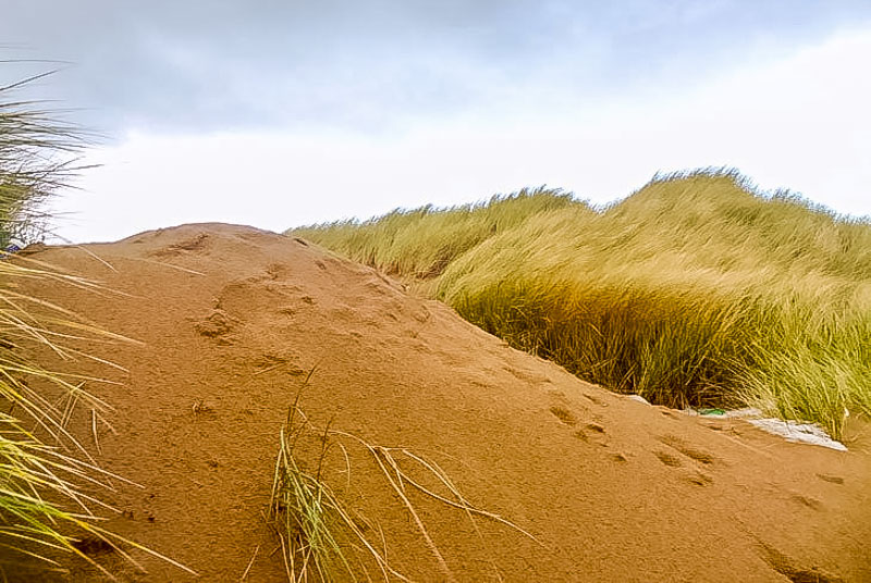 Merthyr Mawr Warren dunes and grass