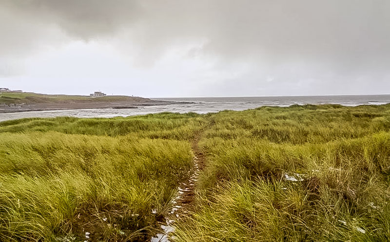 dunes and sea wales