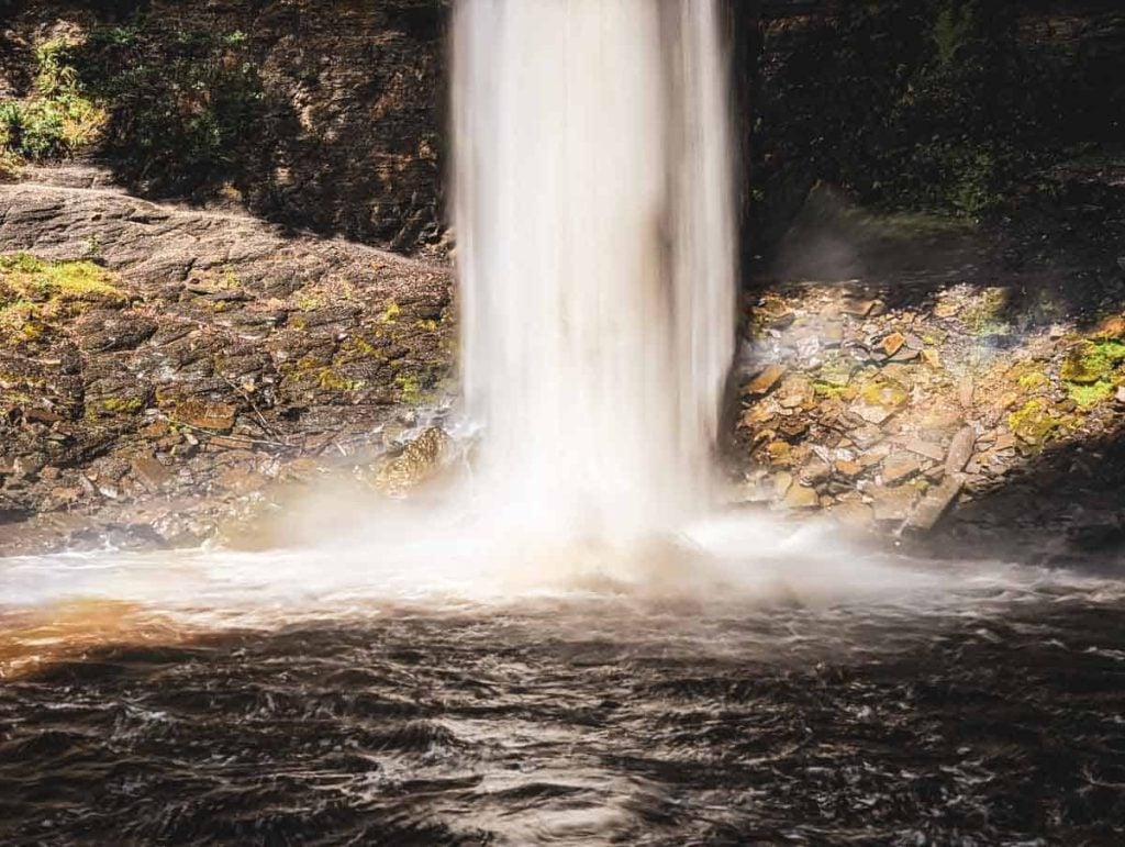 hardraw force bottom