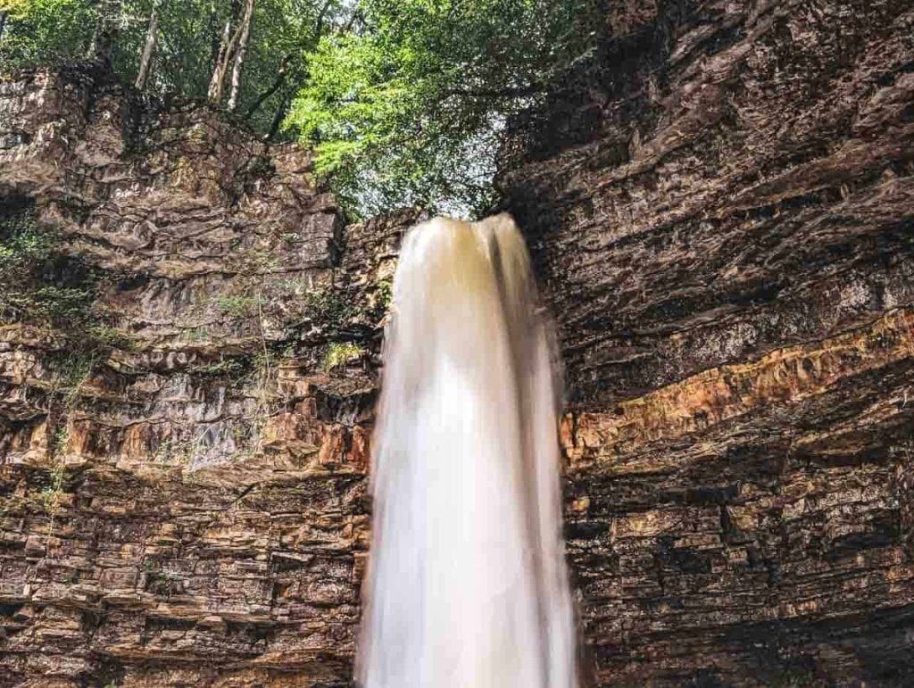 top of hardraw force