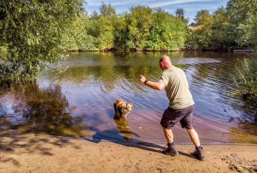 riverside walk with a dog