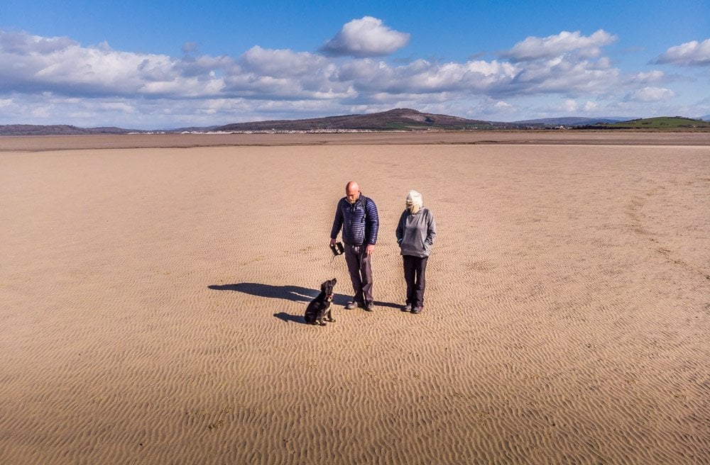 dog walk on sands