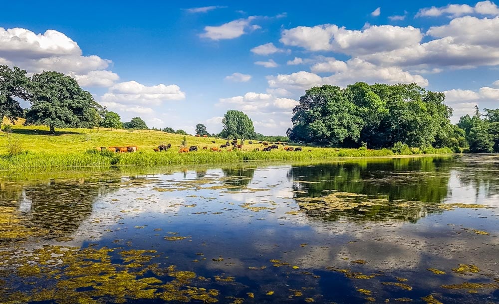 Staunton Harold hall lake in summer