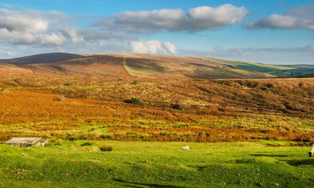 dartmoor landscape