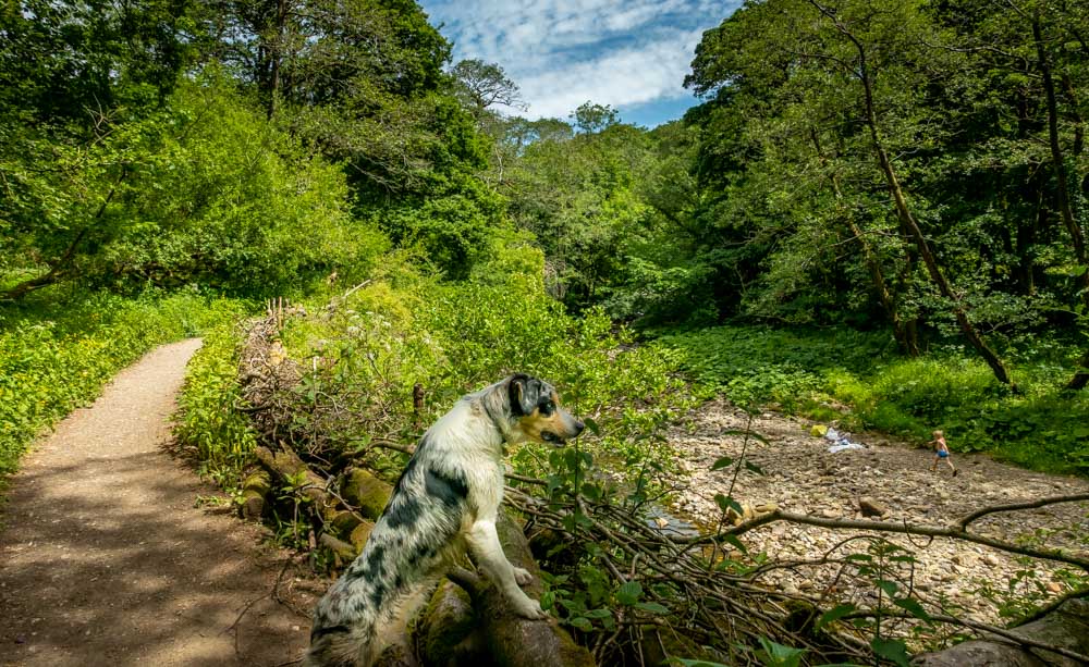 path by the river