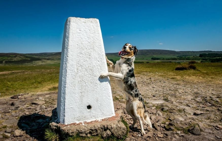 Nicky Nook Walk Trig Point