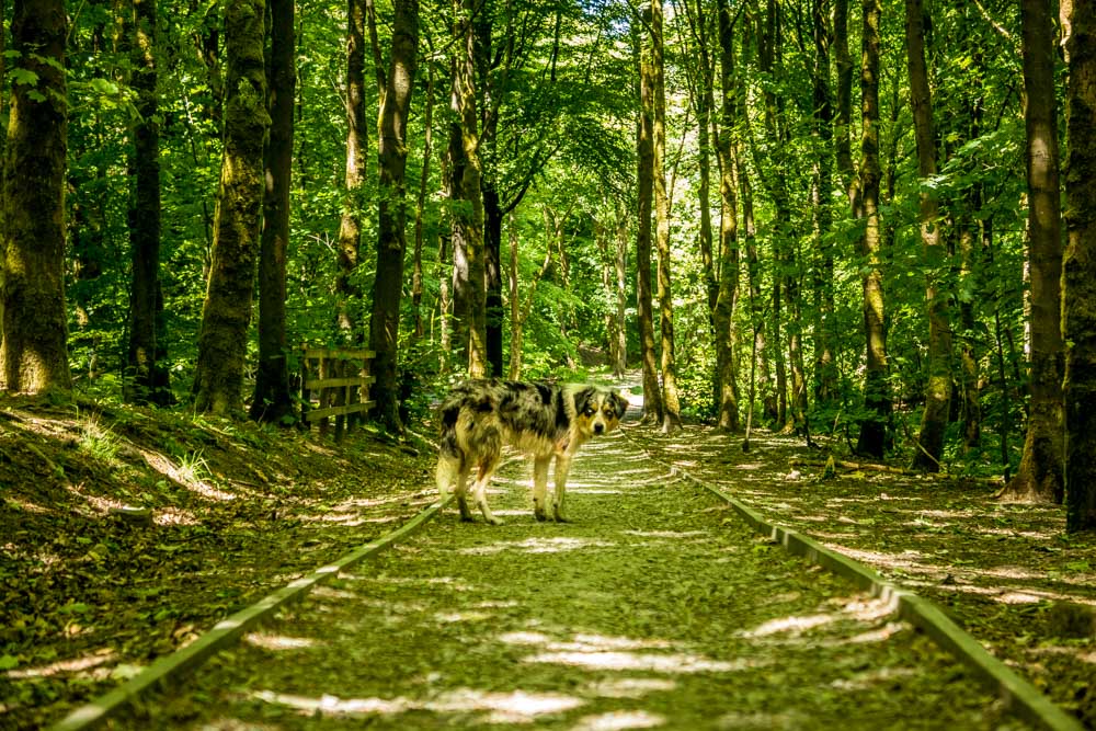 good paths around the reservoirs