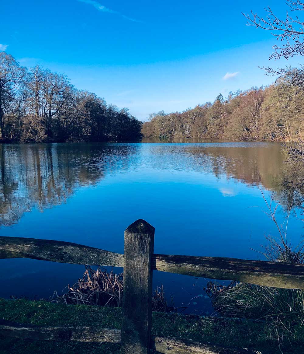 Virginia Water Lake - A Springtime Walk