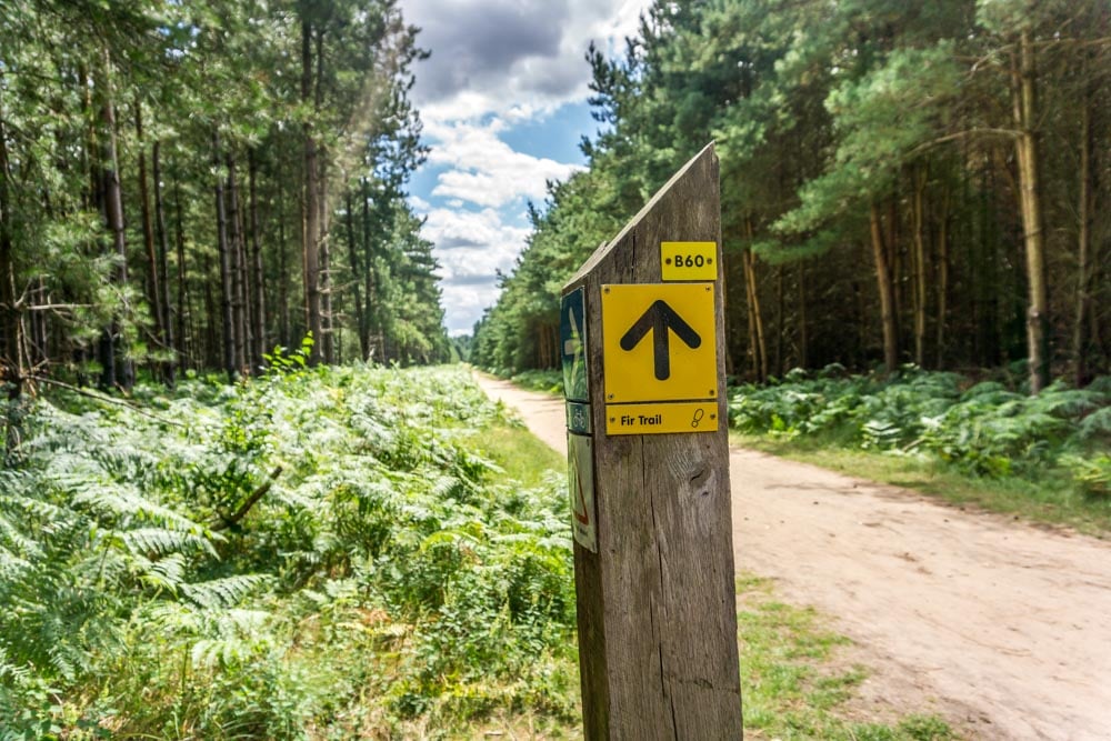 thetford trail marker