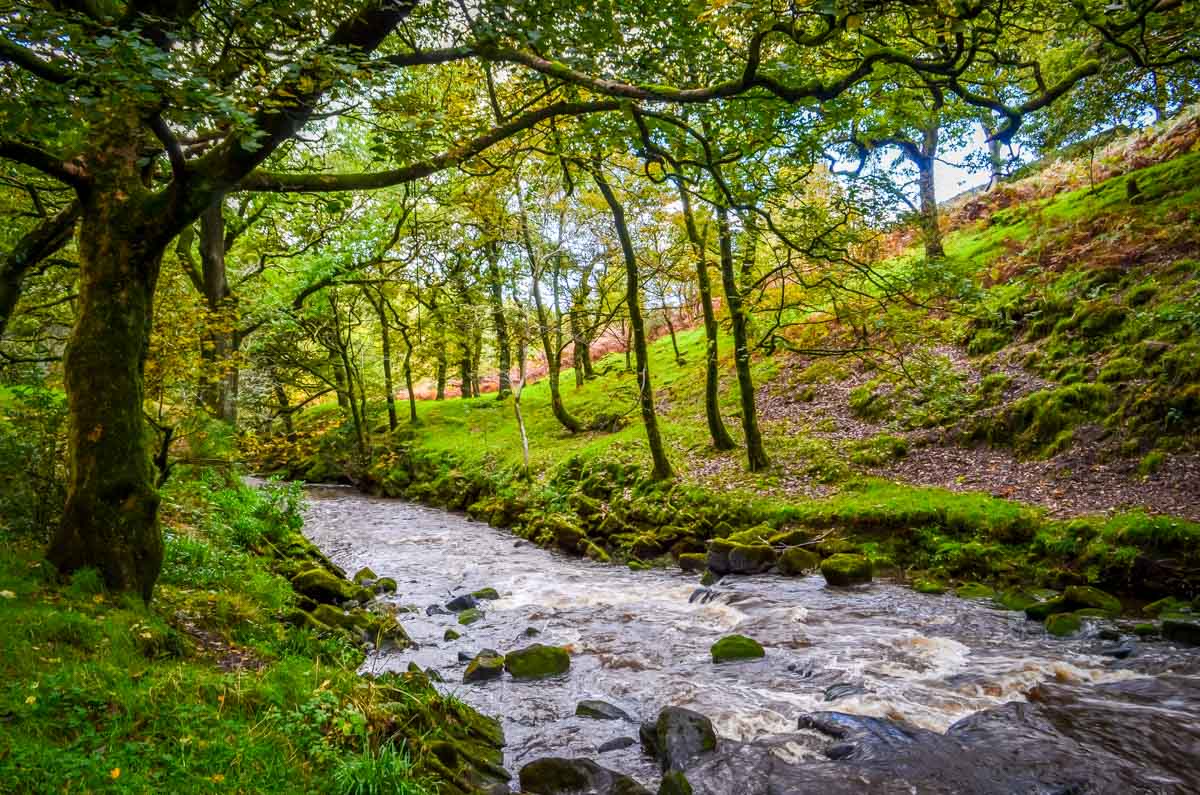 river near Lud's Church