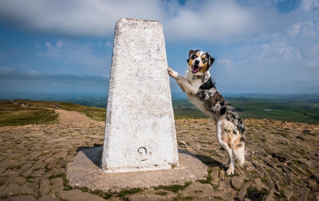 trig point at summit pendle hill