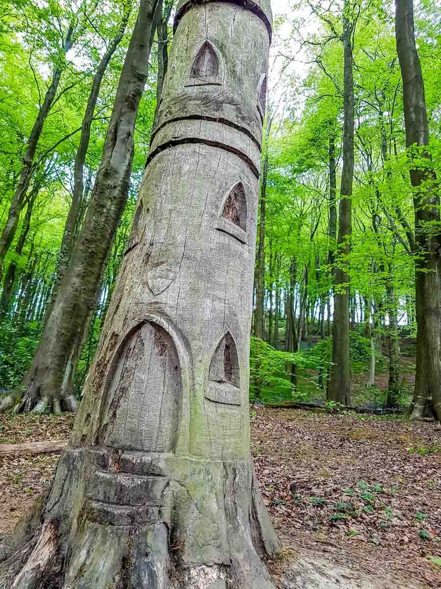 Linacre Reservoirs Walk, Peak District | BaldHiker