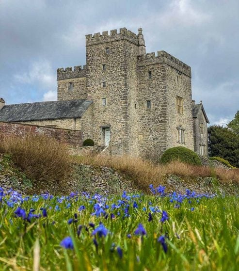 flowers by the castle Sizergh