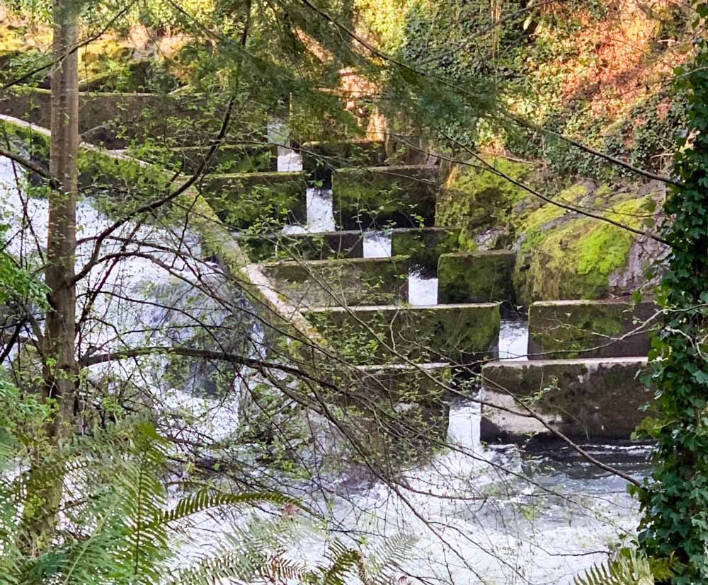 Tumwater Falls Park, Washington | BaldHiker