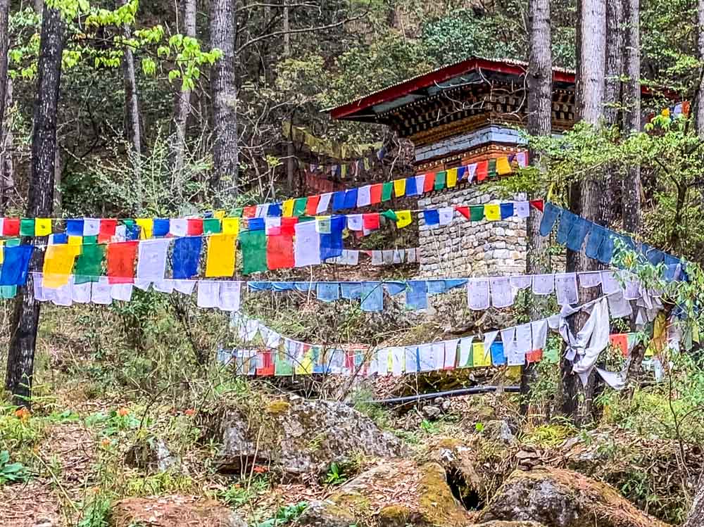 prayer flags on Tiger's nest trail