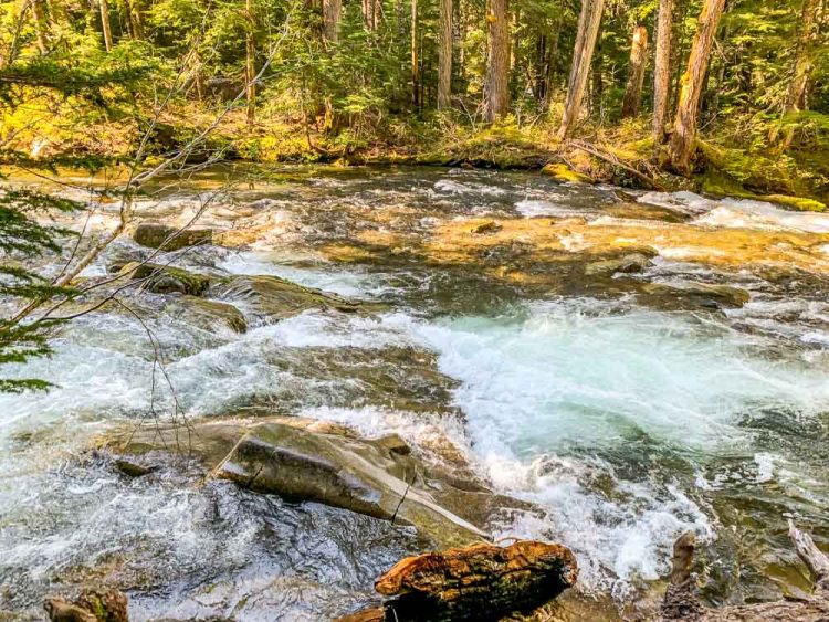 Hike To Carter Falls At Mt Rainier | BaldHiker