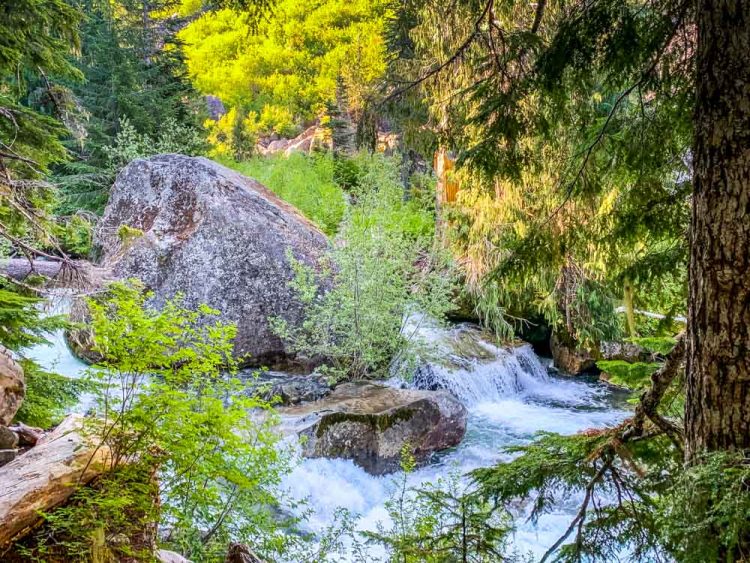 Hike To Carter Falls At Mt Rainier | BaldHiker